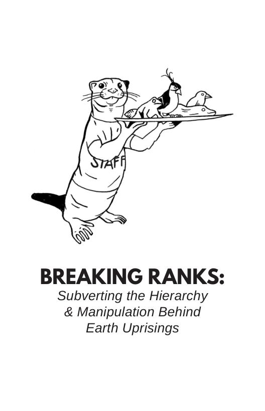 Breaking Ranks Nassp Pyramid Breaking Ranks: Subverting the Hierarchy and Manipulation Behind Earth ...